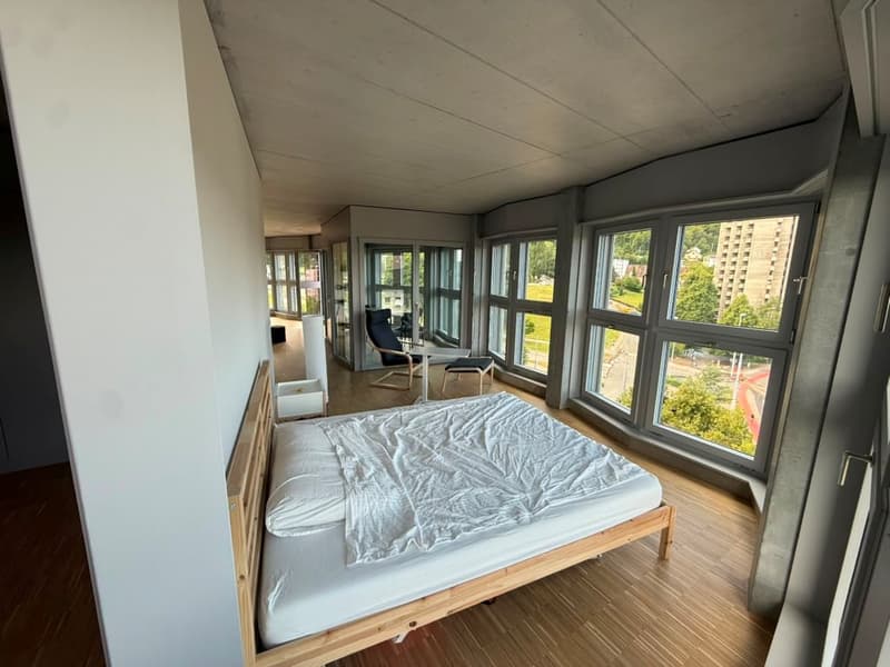 Stilvolles 2.5-Zimmer-Loft-Apartment auf der 9. Etage in Zürich-Triemli (7)
