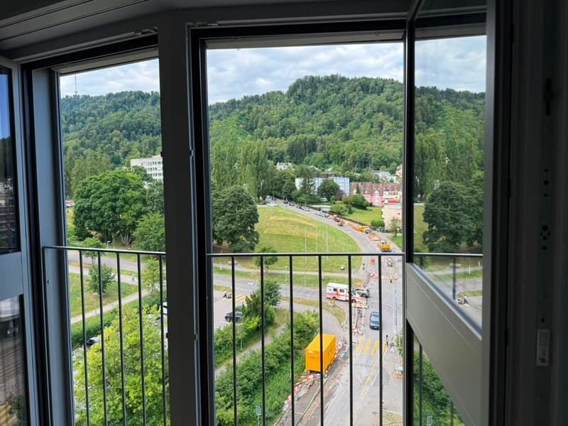 Stilvolles 2.5-Zimmer-Loft-Apartment auf der 9. Etage in Zürich-Triemli (13)