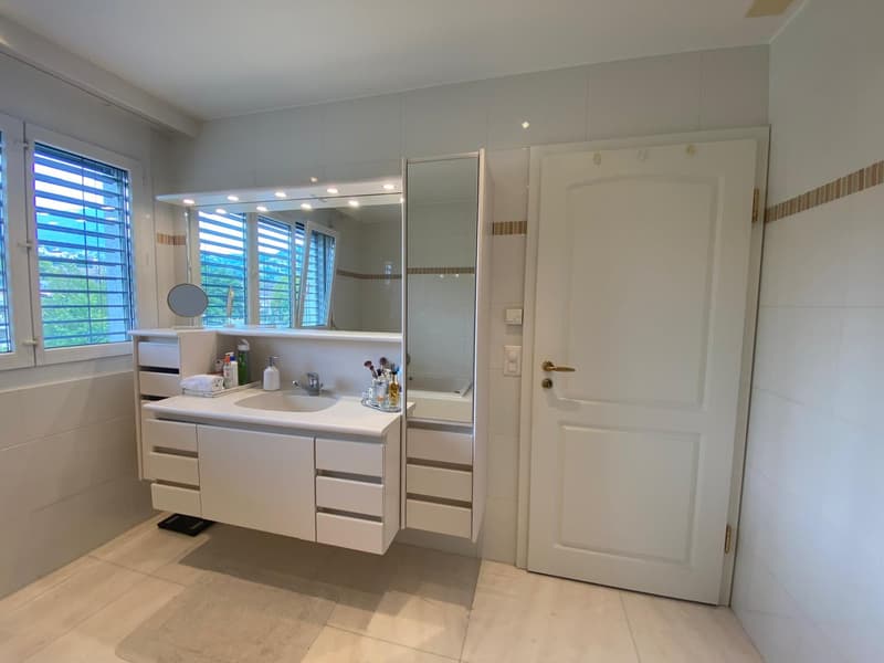Magnifique duplex de 6 pièces avec vue panoramique à Vevey (6)