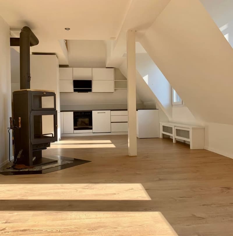 Spacious 4.5-Room Apartment with Balcony in Zürich 8006 (2)
