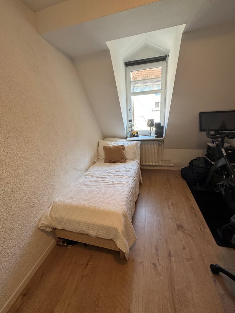 Spacious 4.5-Room Apartment with Balcony in Zürich 8006 (12)