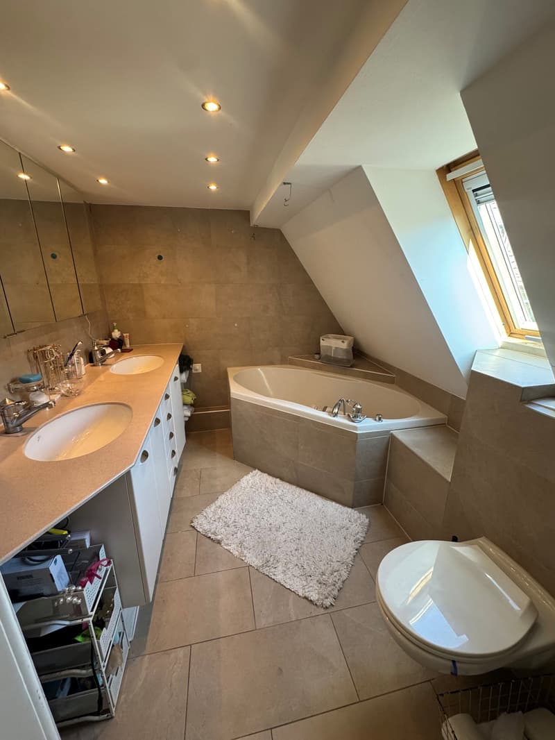 Spacious 4.5-Room Apartment with Balcony in Zürich 8006 (8)