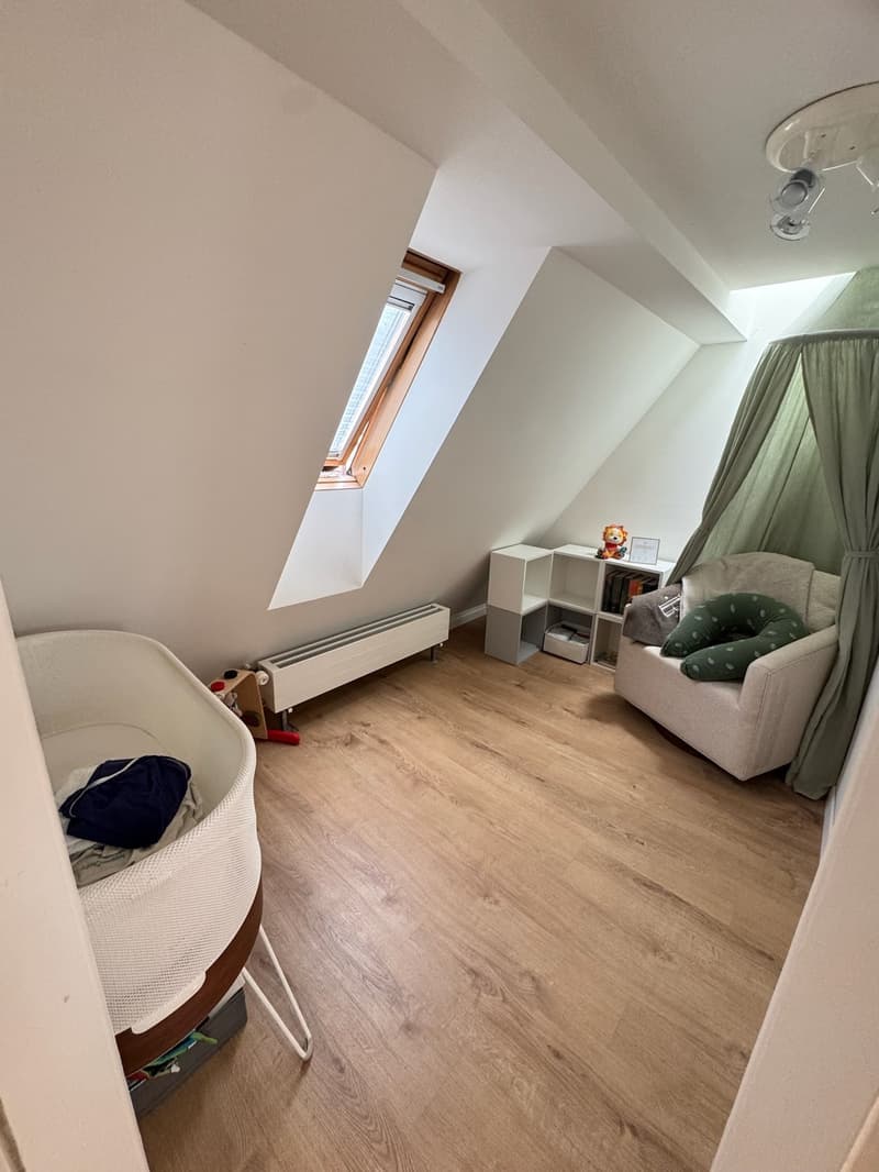 Spacious 4.5-Room Apartment with Balcony in Zürich 8006 (4)