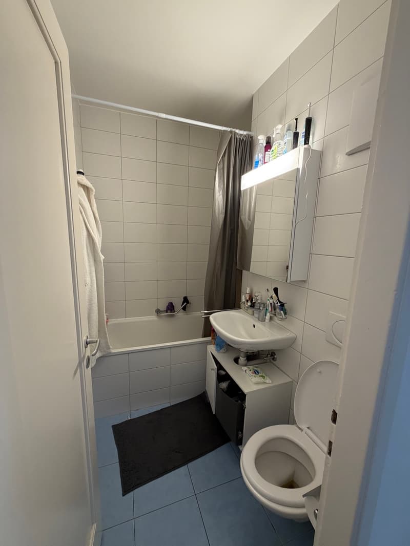 Charmant appartement de 2 pièces à Lausanne (5)