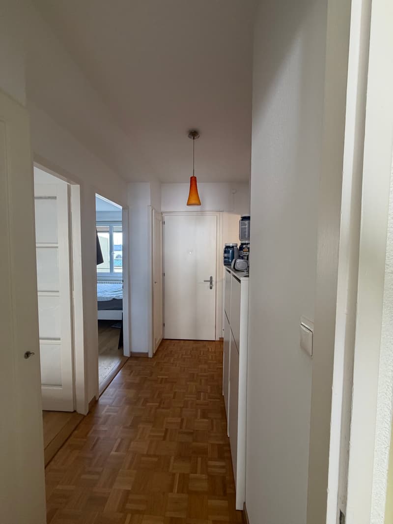 Charmant appartement de 2 pièces à Lausanne (6)