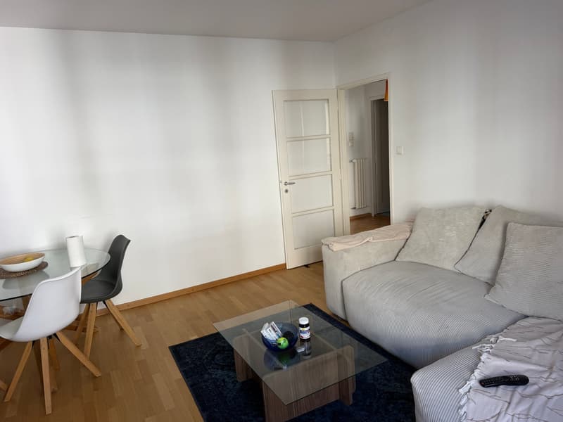 Charmant appartement de 2 pièces à Lausanne (2)