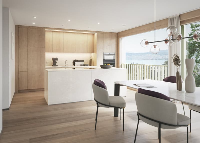 Stunning 4.5 - Room Apartment in Küsnacht (3)