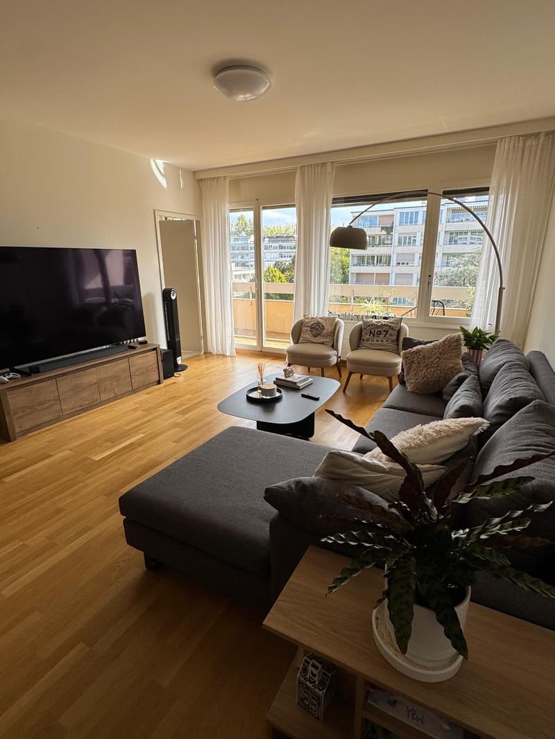Spacieux appartement de 5 pièces à louer – Avenue Krieg, Genève (4)