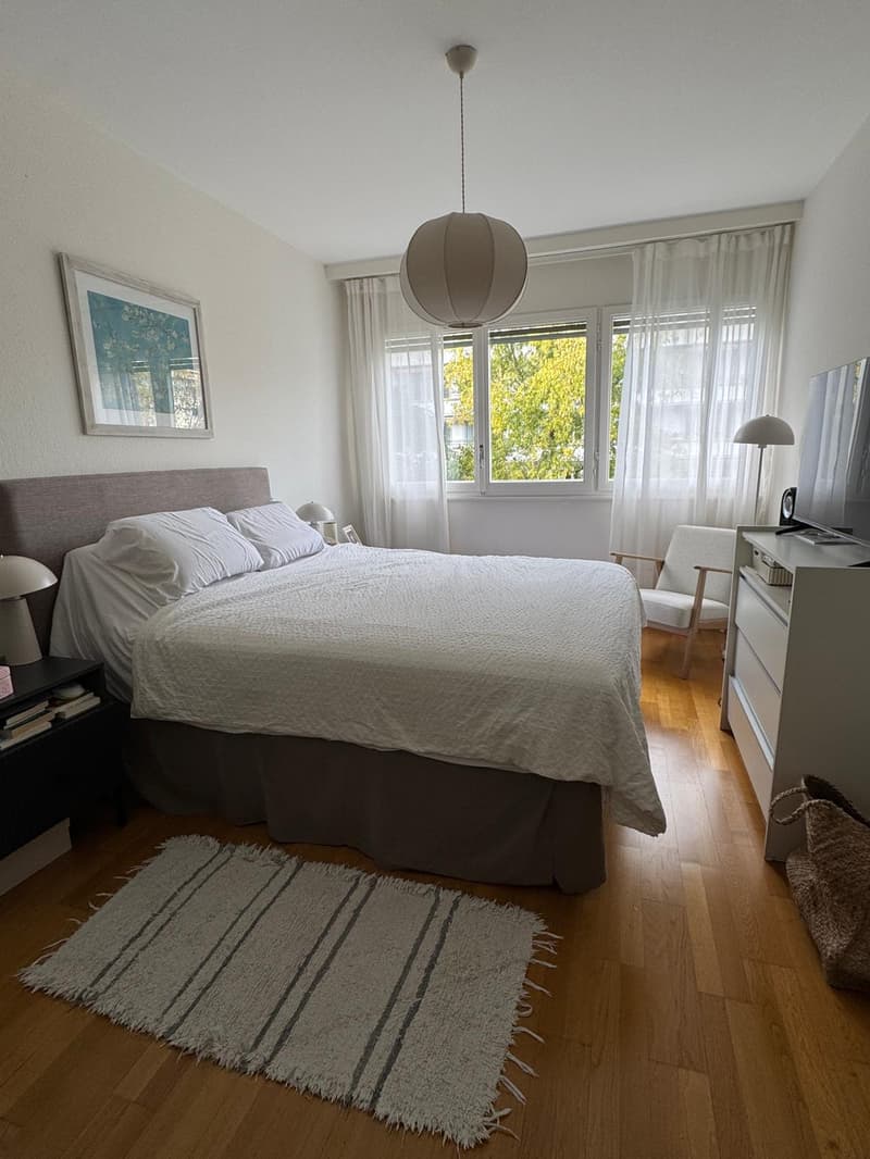 Spacieux appartement de 5 pièces à louer – Avenue Krieg, Genève (8)