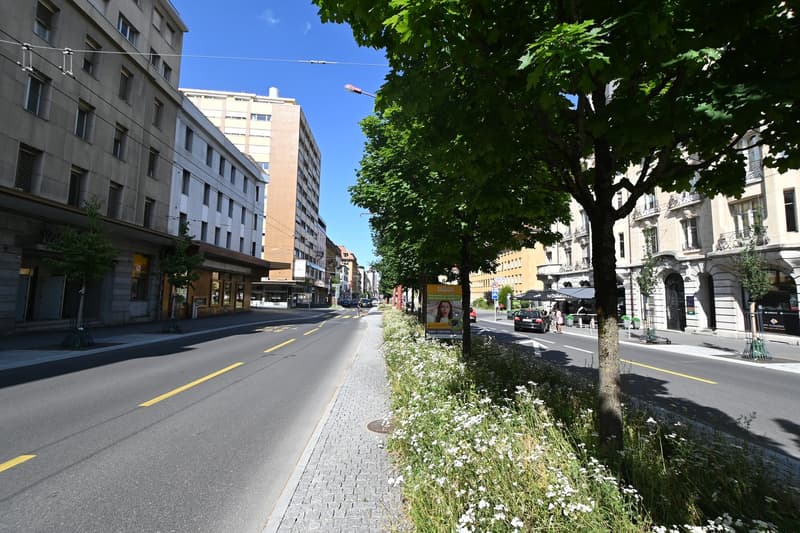 Immeuble de 12 appartements au cœur de La Chaux-de-Fonds (4)