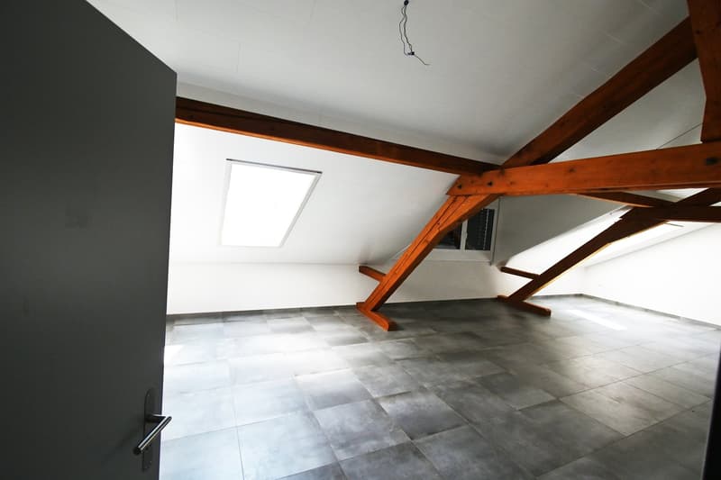 Appartement lumineux au milieu de la campagne et proche des commodités (3)