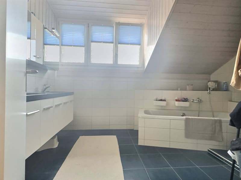 Magnifique villa individuelle au calme absolu avec géothermie à Domdidier (10)