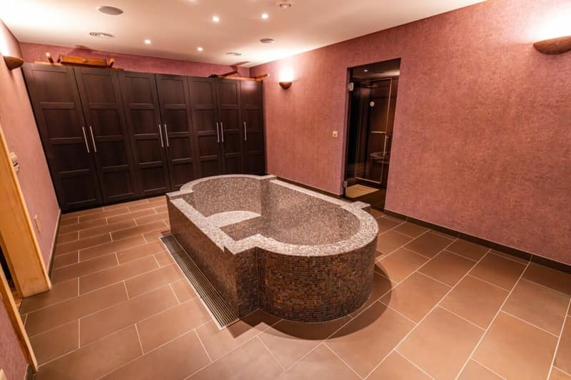 Chalet 6 rooms in Villars (22)