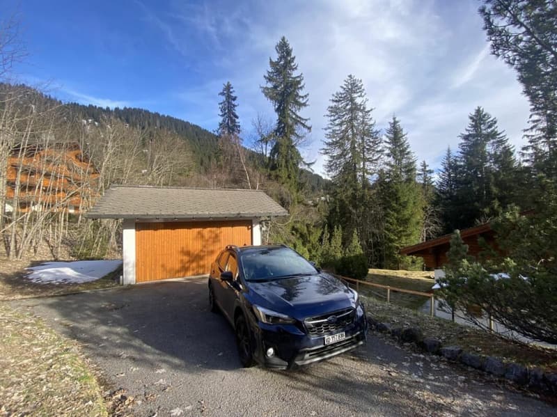 Chalet 7 pièces à Villars-sur-Ollon (22)