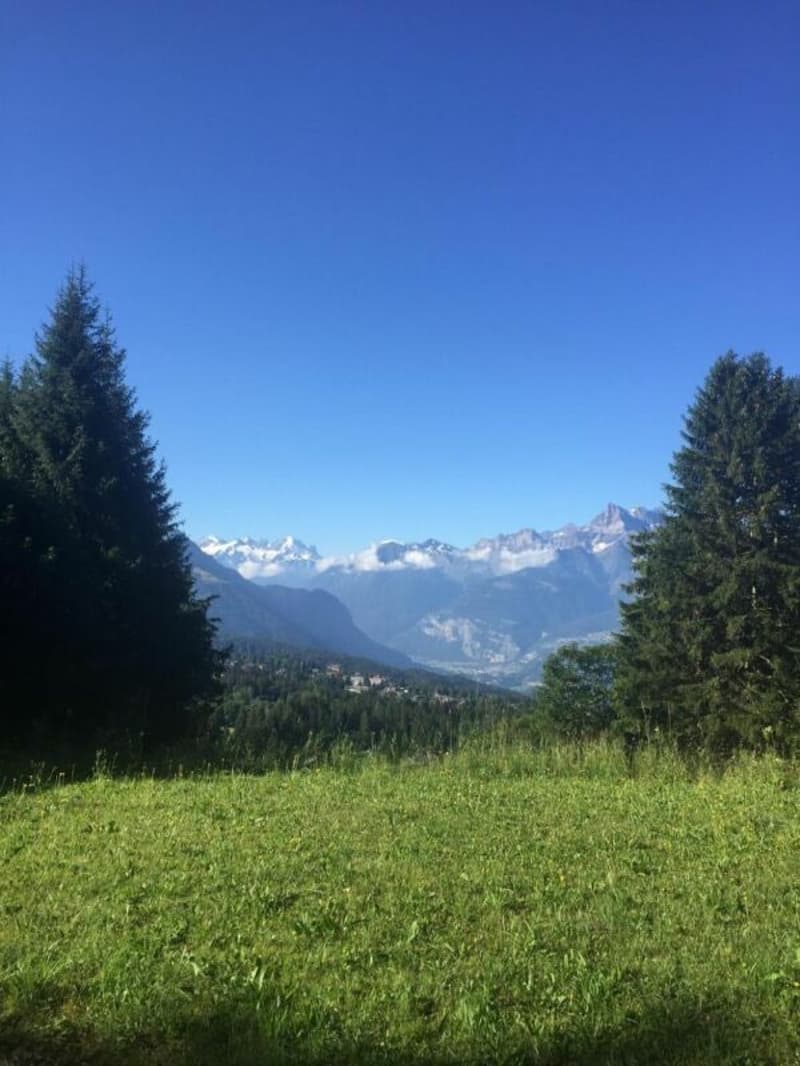 Chalet 7 pièces à Villars-sur-Ollon (10)