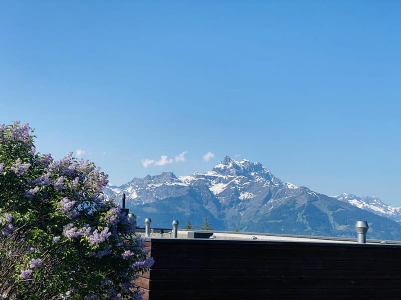 Appartement 4 pièces à Villars-sur-Ollon (3)