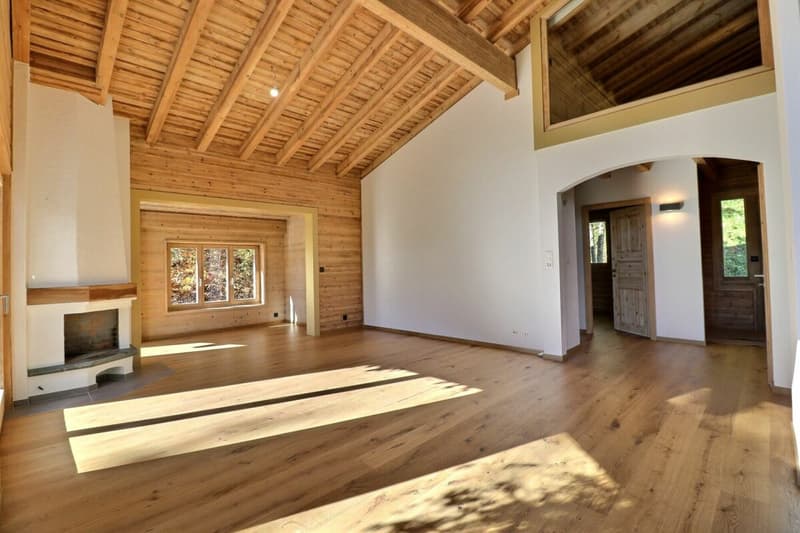 Chalet totalement rénové avec joli jardin arborisé (9)