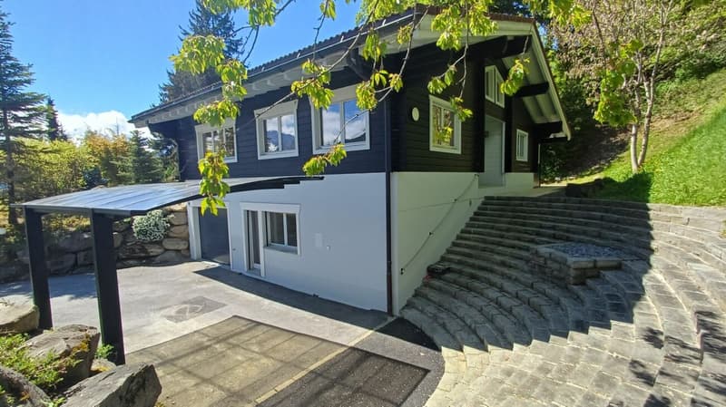 Chalet totalement rénové avec joli jardin arborisé (26)