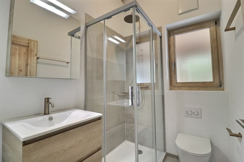 Chalet totalement rénové avec joli jardin arborisé (17)