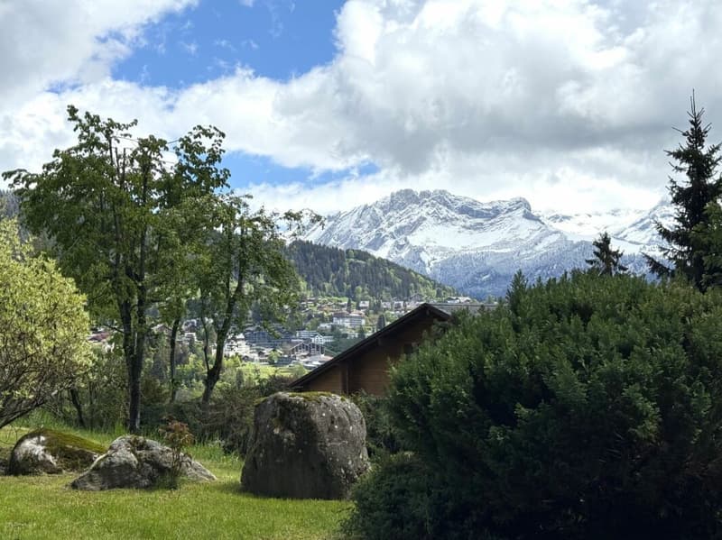 Chalet totalement rénové avec joli jardin arborisé (19)