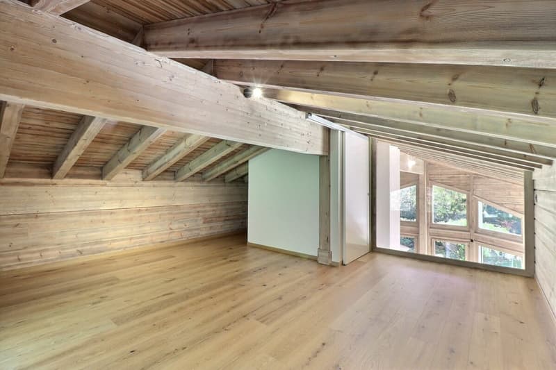 Chalet totalement rénové avec joli jardin arborisé (22)
