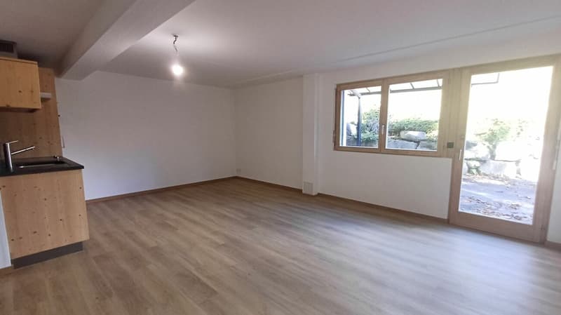 Chalet totalement rénové avec joli jardin arborisé (24)