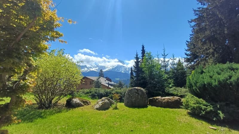 Chalet totalement rénové avec joli jardin arborisé (27)