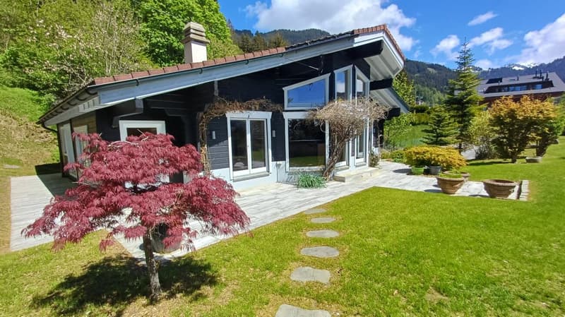 Chalet totalement rénové avec joli jardin arborisé (4)