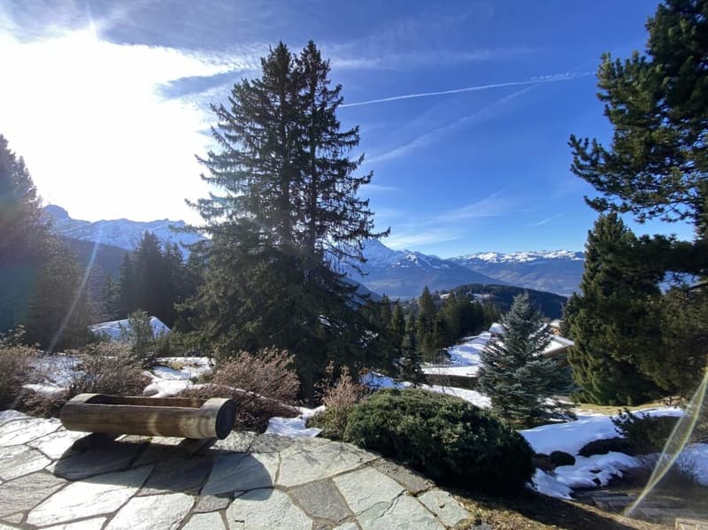 Chalet 5 pièces aux Mazots de Gryon (18)
