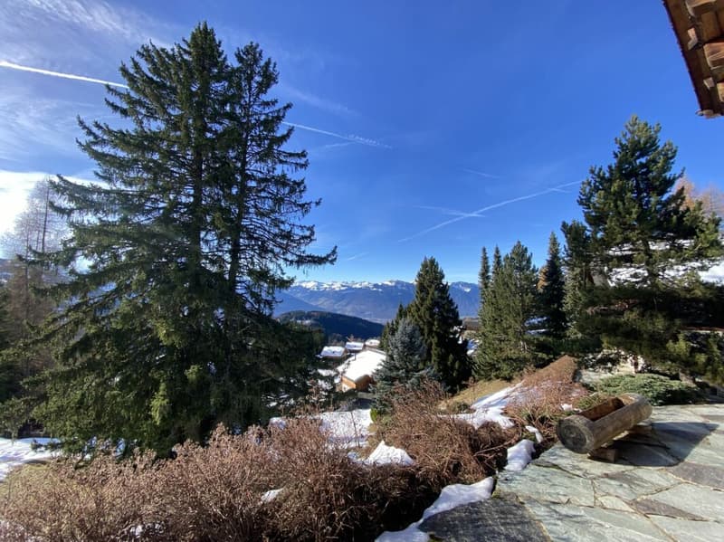 Chalet 5 pièces aux Mazots de Gryon (21)