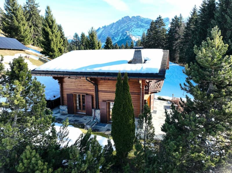 Chalet 5 pièces aux Mazots de Gryon (15)