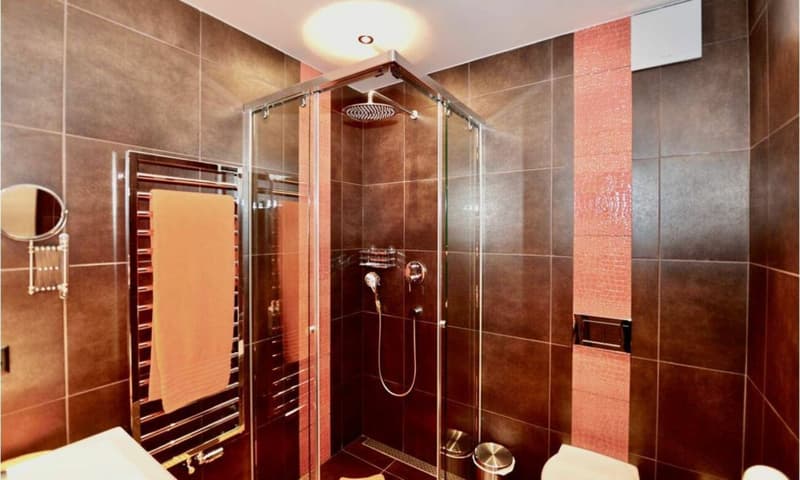 Propriété 9 pièces à Gryon (13)