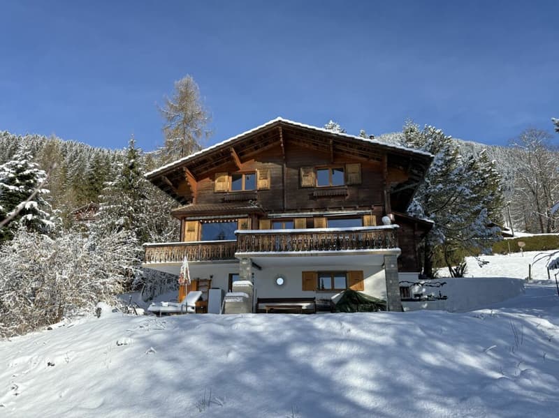 Les Mossettes (16)