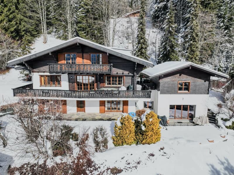 Chalet de 3 étages au Domaine de la résidence avec vue panoramique sur les Alpes. (18)
