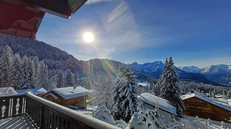 Chalet de 3 étages au Domaine de la résidence avec vue panoramique sur les Alpes. (6)
