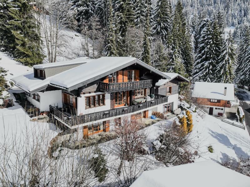 Chalet de 3 étages au Domaine de la résidence avec vue panoramique sur les Alpes. (19)
