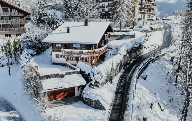 Chalet de 8 pièces à Villars (22)