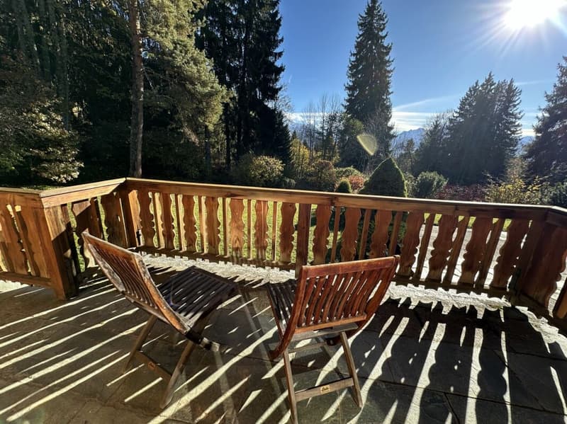 Chalet de 9 pièces, proche du centre (19)