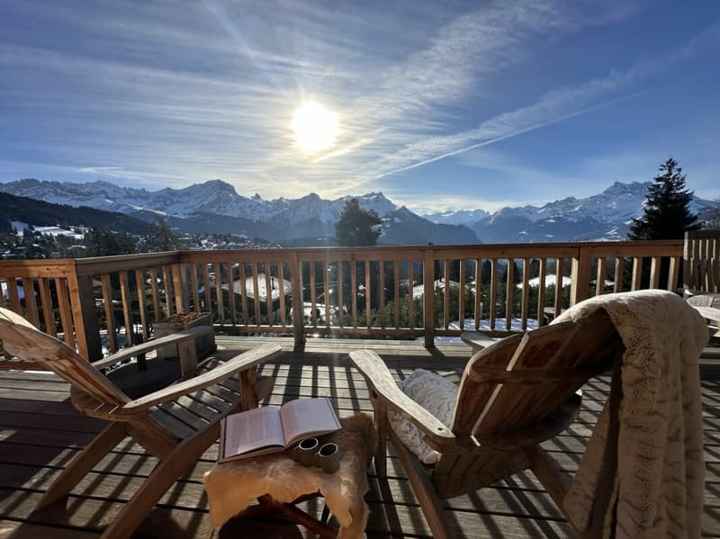 Chalet de 8 pièces vue panoramique (7)