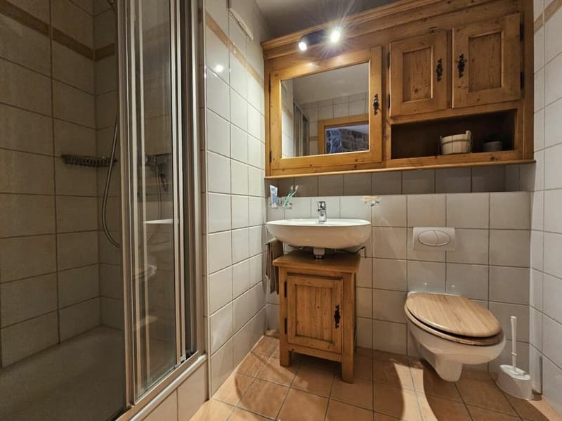 Apartment 3 rooms in Gryon (10)