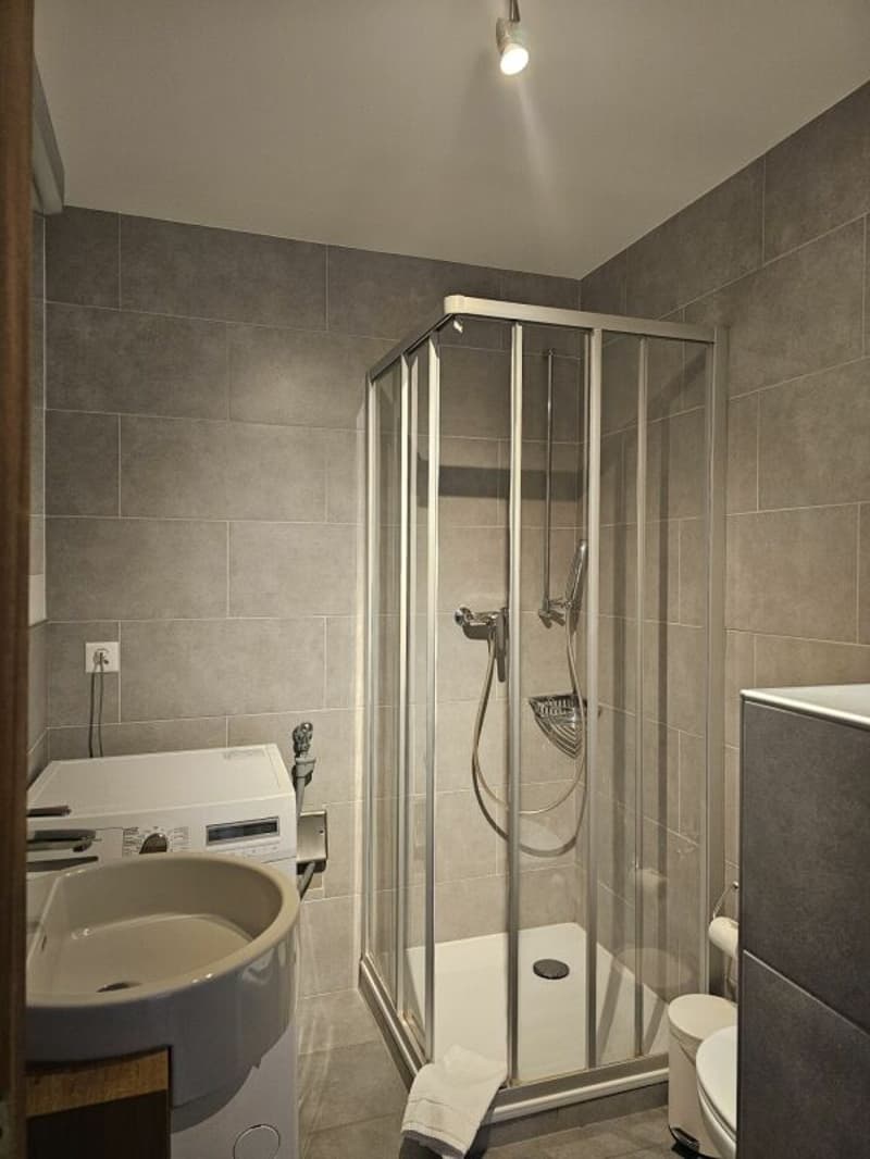 Appartement 3 pièces à Arveyes (3)