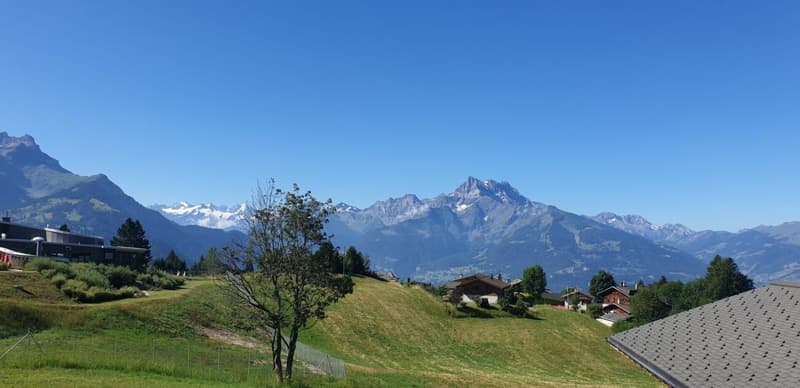 5 bedroom chalet - Villars center (16)