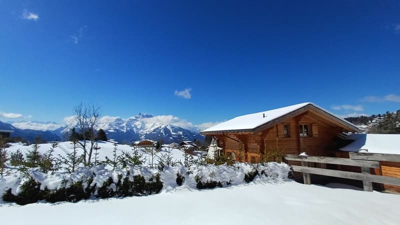 5 bedroom chalet - Villars center (7)