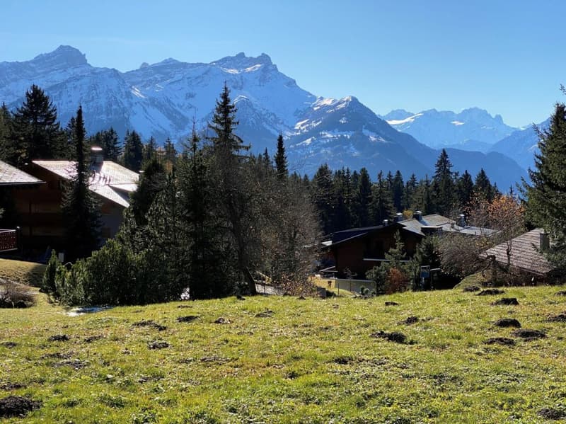 Chalet 8 pièces à Chesières (18)