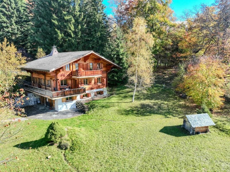 Chalet 8 pièces à Villars-sur-Ollon (1)