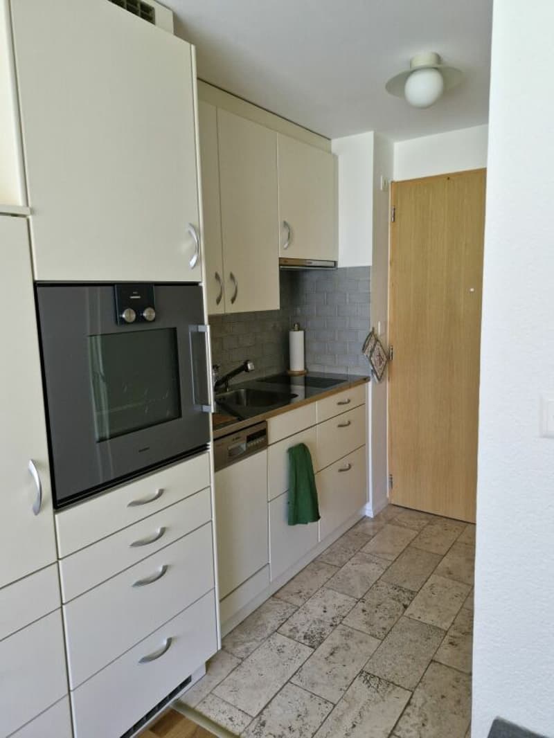 Appartement 2 pièces à Villars-sur-Ollon - à louer à la saison d'été (3)