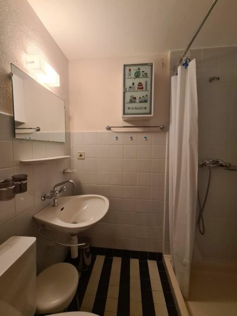 Appartement 4.5 pièces à Villars-sur-Ollon - à louer à la saison d'été (9)