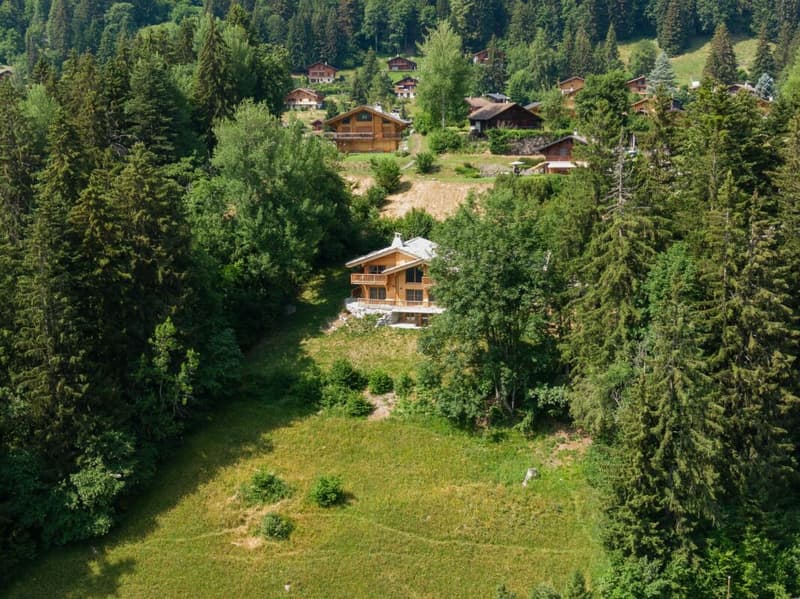 Chalet de 8 pièces avec vue imprenable (38)