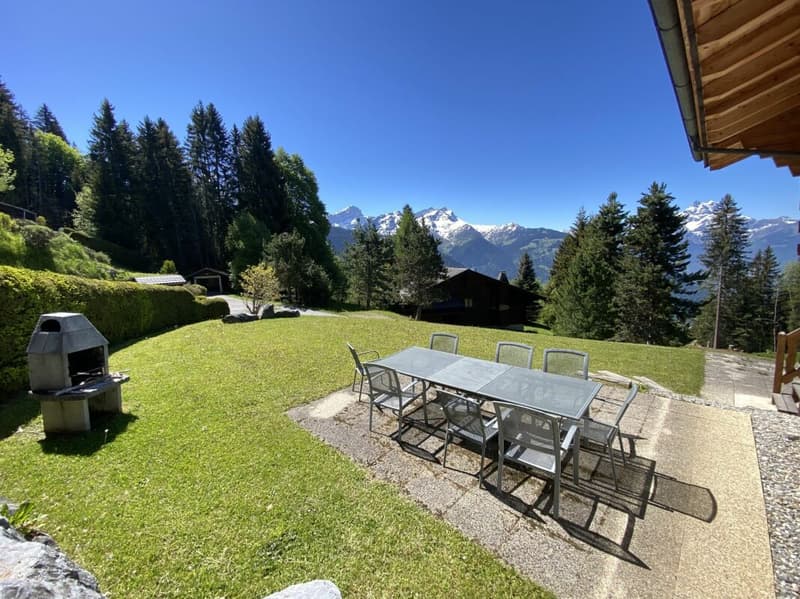 Chalet with panoramic views of the Alps - Mazots de Gryon (9)