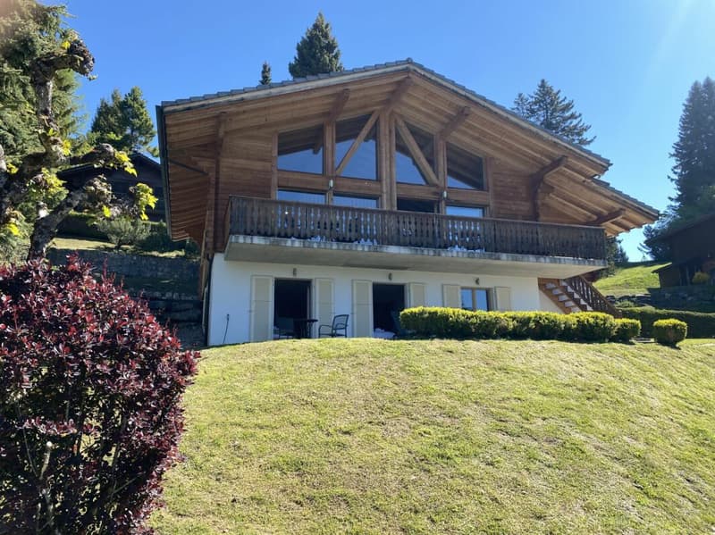 Chalet with panoramic views of the Alps - Mazots de Gryon (22)